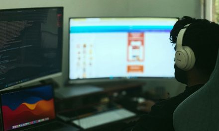 The Role of Governments in Fighting Cybercrime